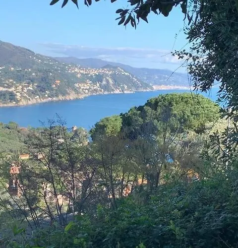 Lakshmi House Rapallo